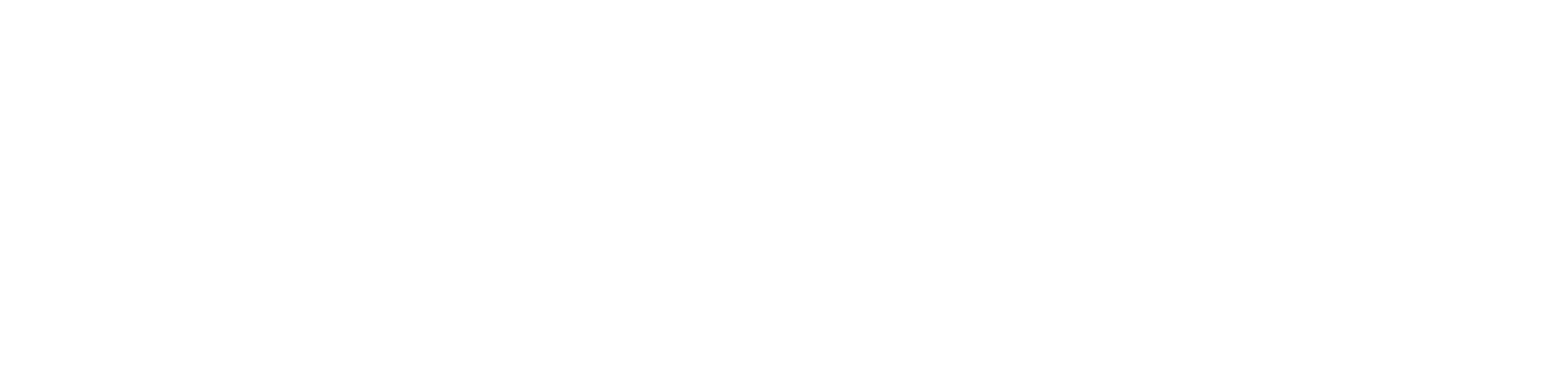 Arceus Store